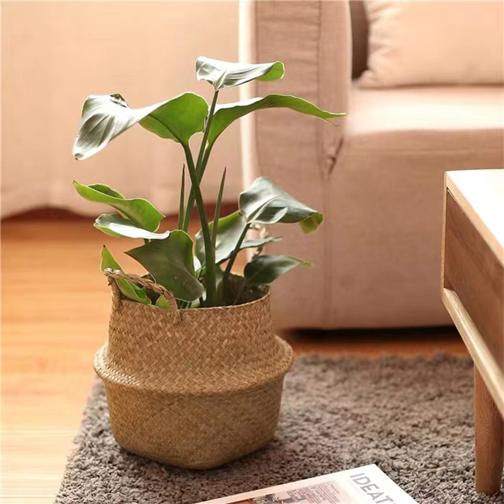 ハンドル付き植物バスケット 籐バスケット 植木鉢収納バスケッ - Rattan Plant Basket のレビューと価格